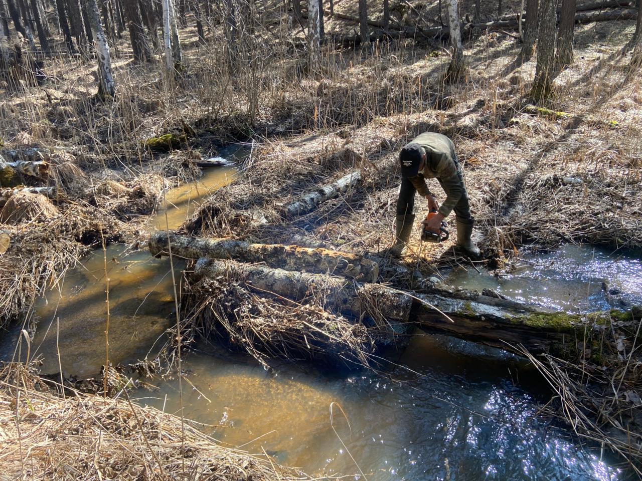 «Мөлдір бұлақ» экологиялық акциясы шеңберінде