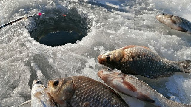 На территории курорта Бурабай пройдет фестиваль зимней рыбалки «Burabay Fishing Cup 2026»