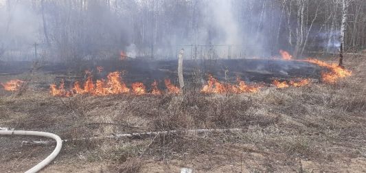 Смарт- жүйенің арқасында Бурабай орманшылығында өрт анықталып, дер кезінде жойылды