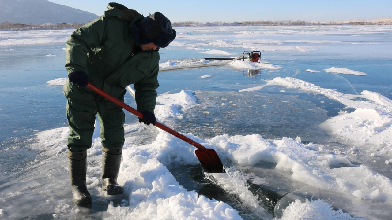 Бурабайда қыста балықты қалай сақтайды 
