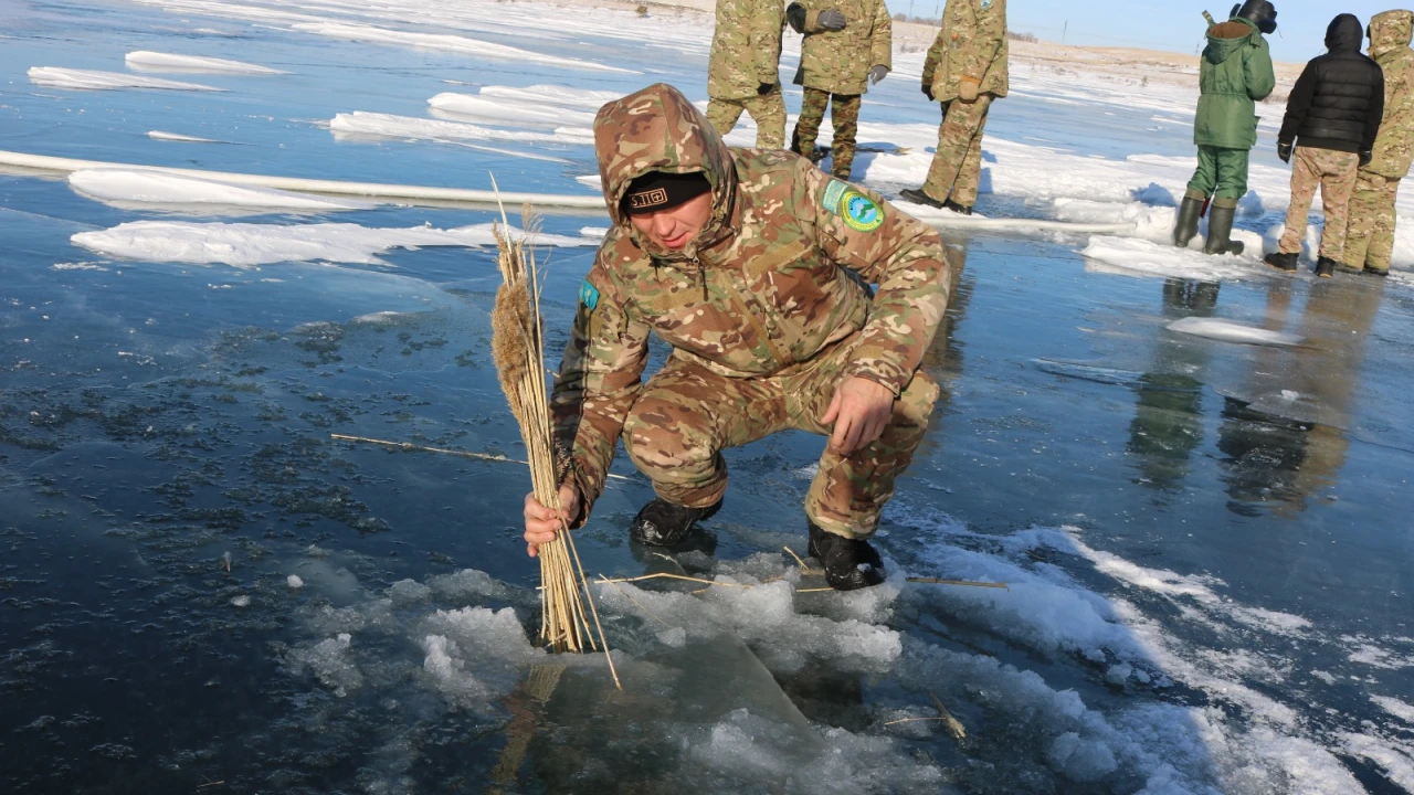Бурабайда қыста балықты қалай сақтайды 