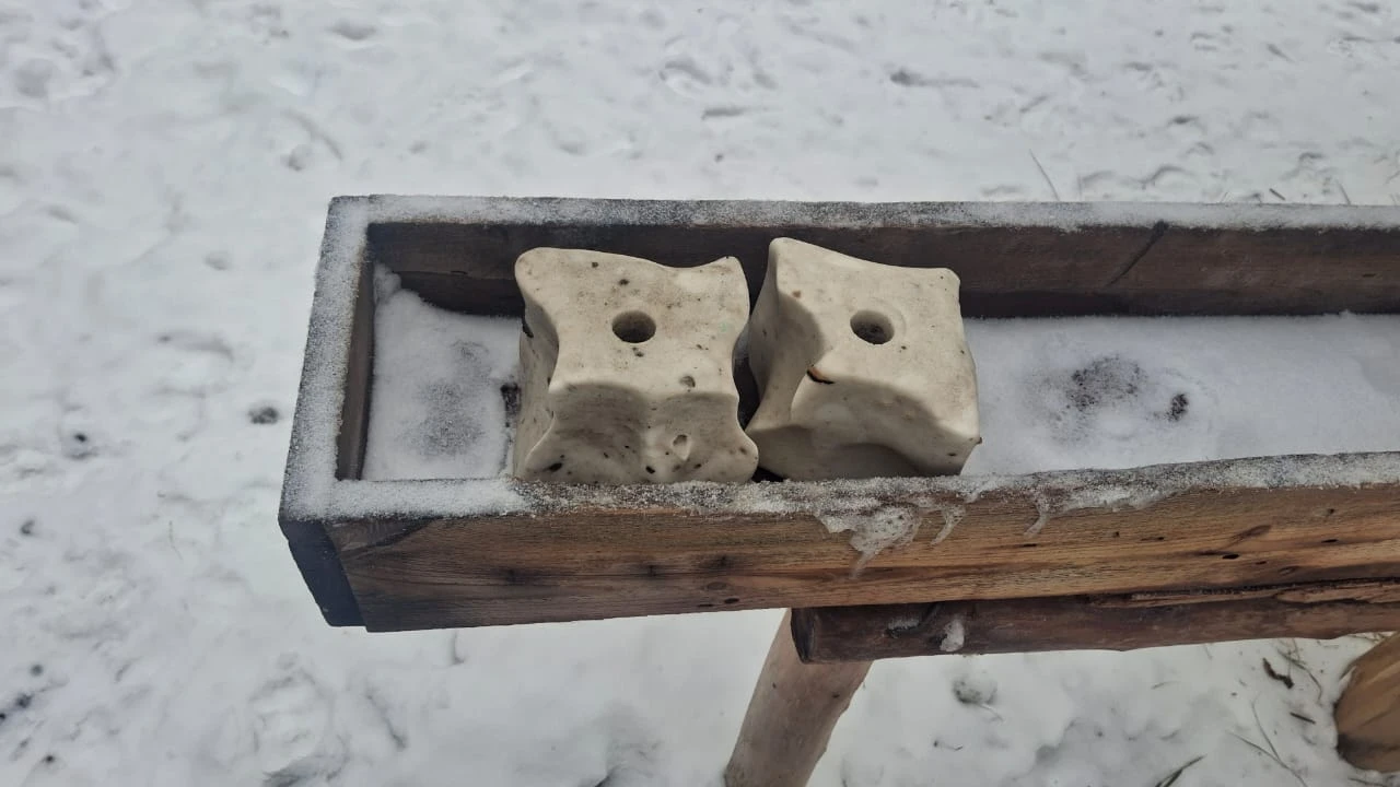 «Бурабай» МҰТП-дегі тұздақтар: жабайы жануарларға тұз не үшін қажет 