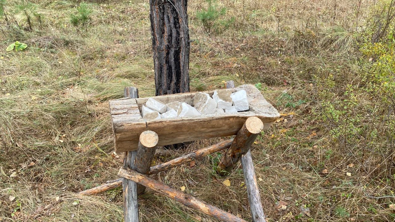 «Бурабай» МҰТП-де жабайы жануарларға 600 тоннадан астам азық дайындалды 
