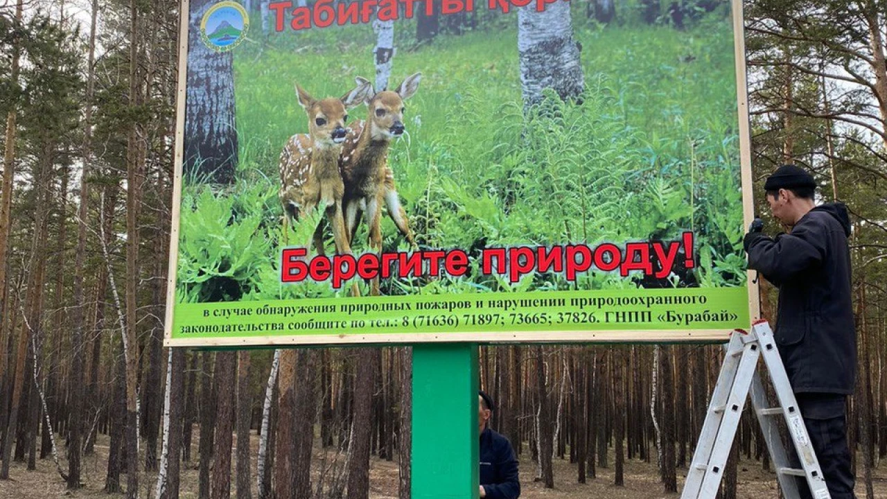 В лесничествах ГНПП “Бурабай” продолжаются работы по очистке и благоустройству территорий 