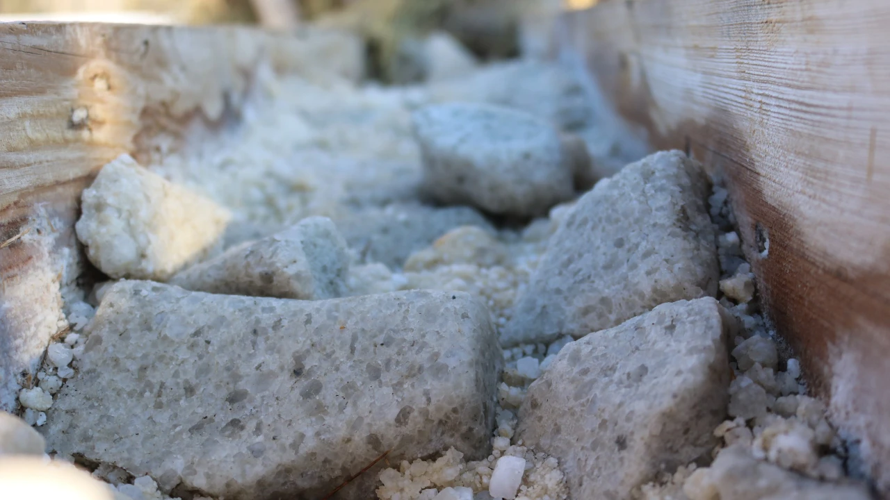 «Бурабай» МҰТП-дегі тұздақтар: жабайы жануарларға тұз не үшін қажет 