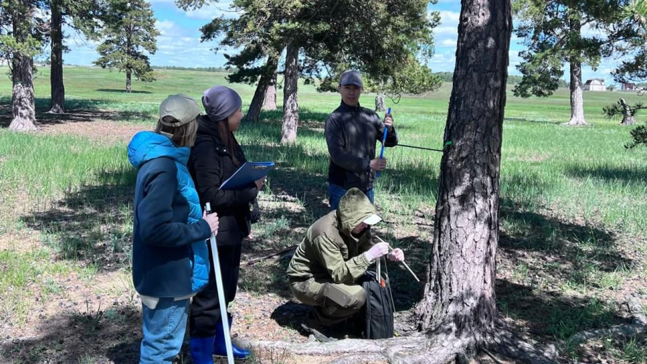 Ғалымдар «Бурабай» ұлттық паркінің экожүйесін сақтау мәселесін зерттеп жатыр 