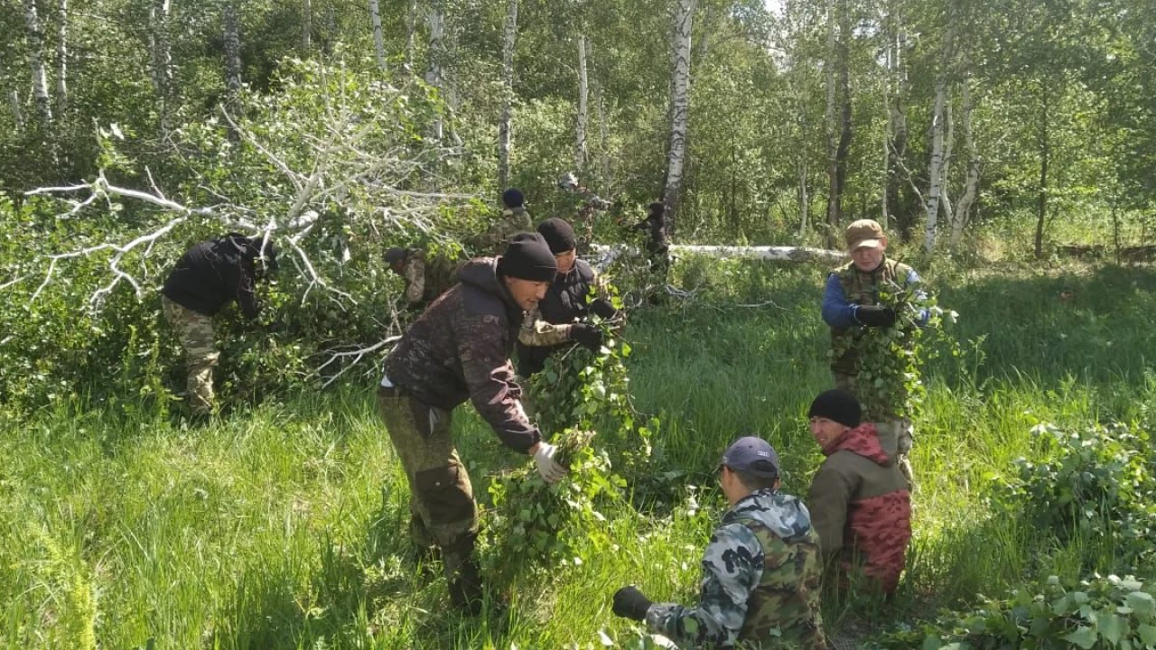 В ГНПП “Бурабай” разгар работ по подготовке кормов для диких животных в зимний период 