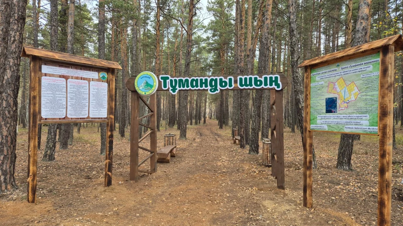 ГНПП «Бурабай» запустил новую экологическую тропу для туристов и любителей природы под названием «Туманная вершина»