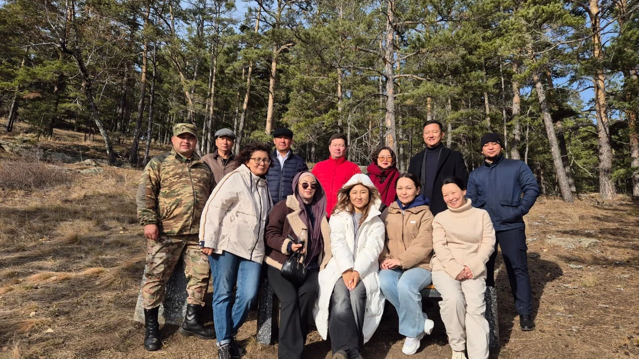 От шишки до соснового бора: как в Бурабае рождается новый лес 