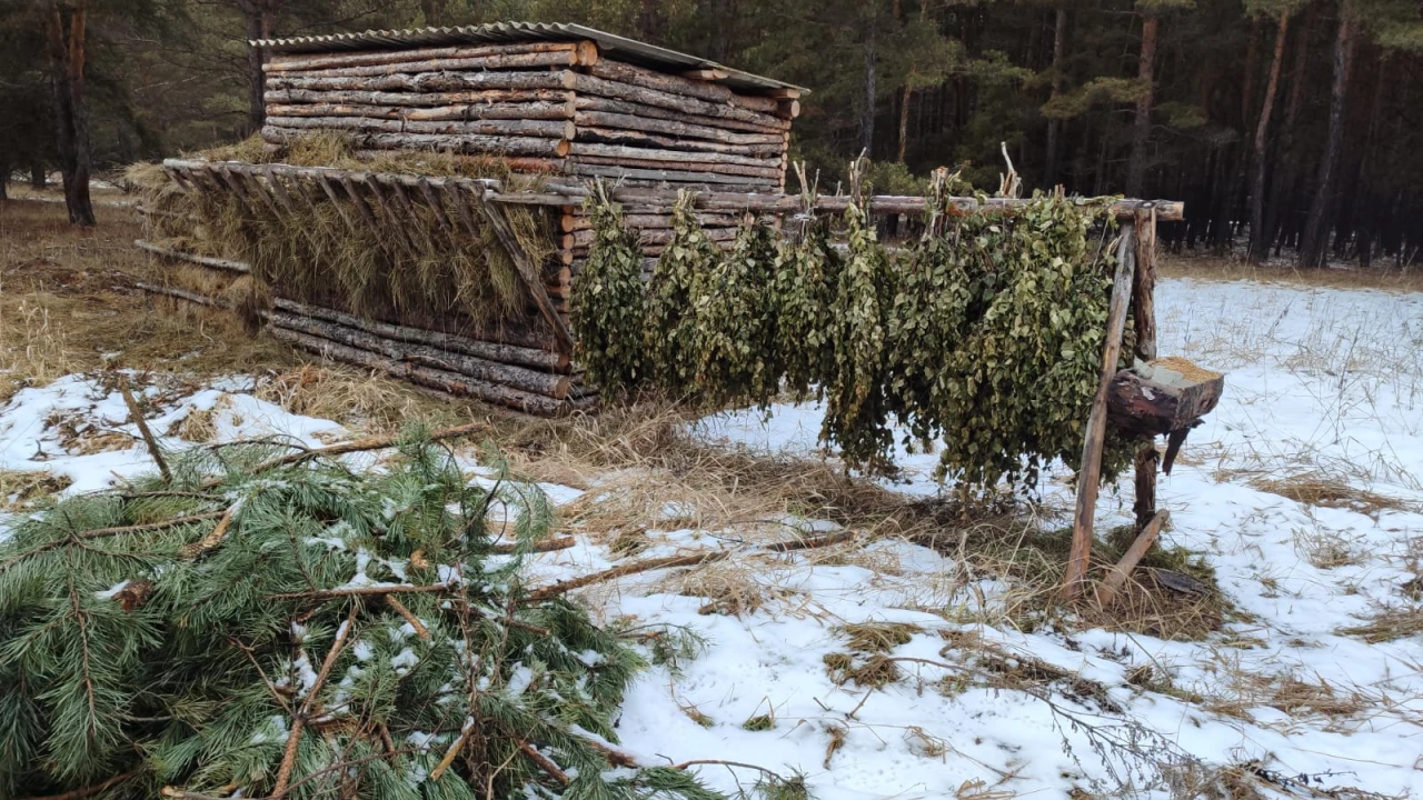 Ұлттық парк инспекторларының қысқы қарбаласы: Бурабай күшейтілген қорғау режимінде 