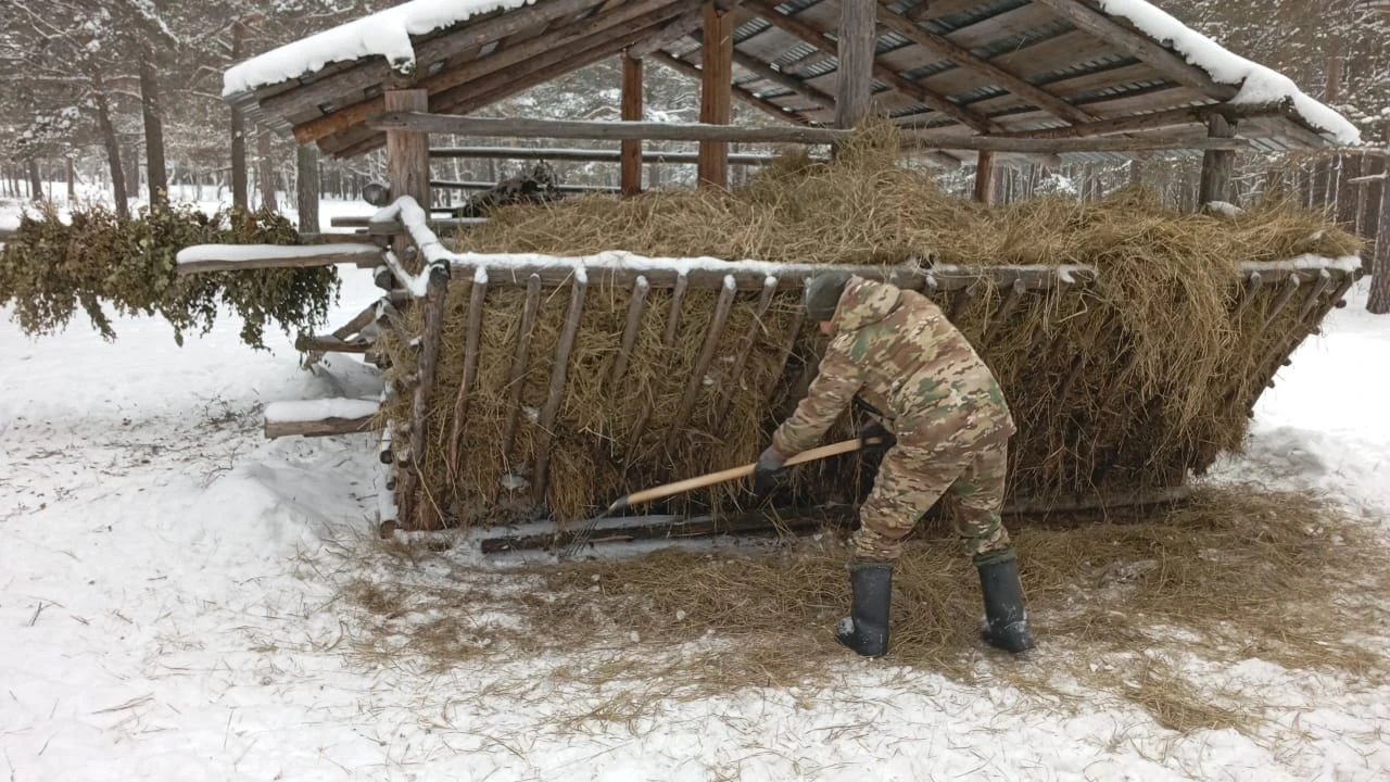 Ұлттық парк инспекторларының қысқы қарбаласы: Бурабай күшейтілген қорғау режимінде 