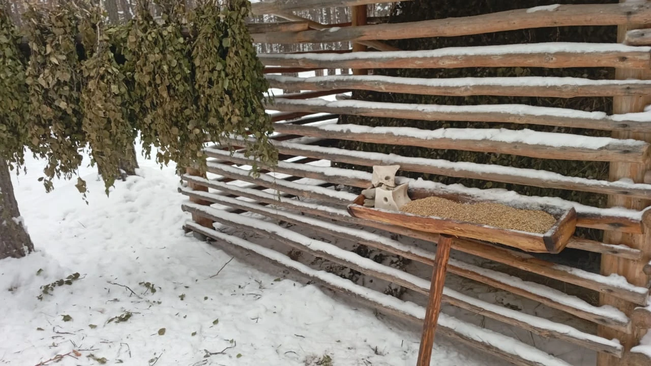 Ұлттық парк инспекторларының қысқы қарбаласы: Бурабай күшейтілген қорғау режимінде 